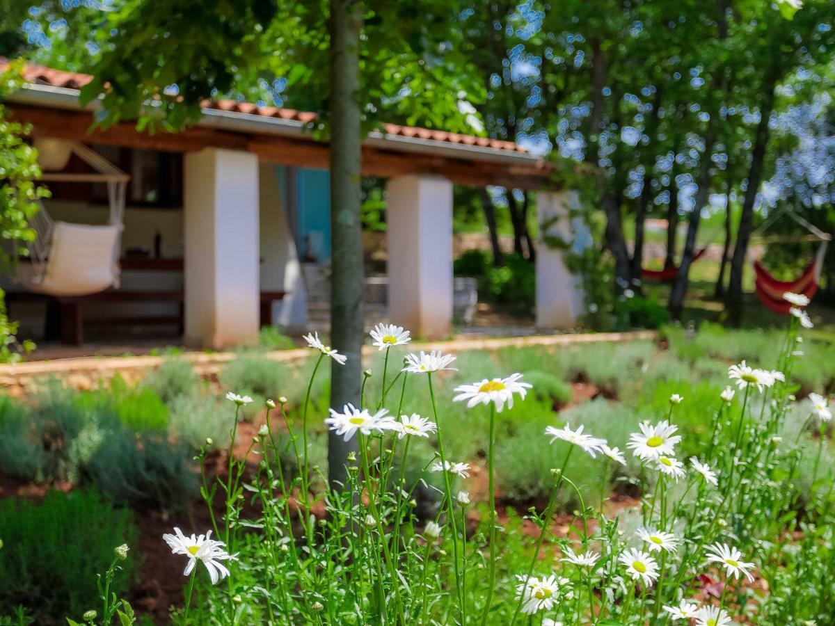 Holiday Home Country House D&D By Interhome プーラ エクステリア 写真